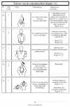 scheids2.jpg (55140 bytes)