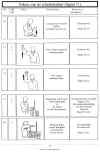 scheids3.jpg (49659 bytes)